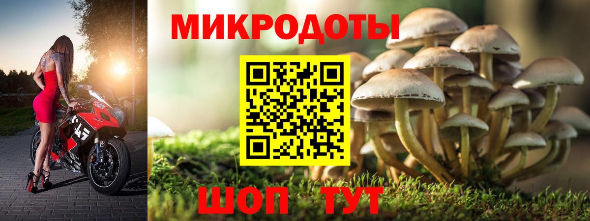 Псилоцибиновые грибы Psilocybine cubensis Кубинка
