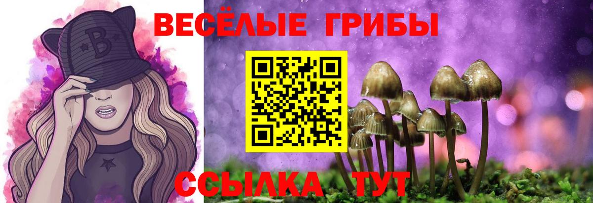 цены наркотик  Вход с VPN  Псилоцибиновые грибы Magic Shrooms  Кубинка  Галлюциногенные грибы прущие грибы 